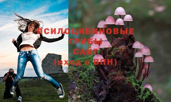 кокаин перу Россошь