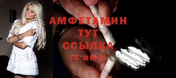 гидра Абаза