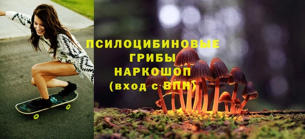 МДПВ Ростов