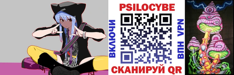 omg ТОР  Удачный  Галлюциногенные грибы Psilocybine cubensis 