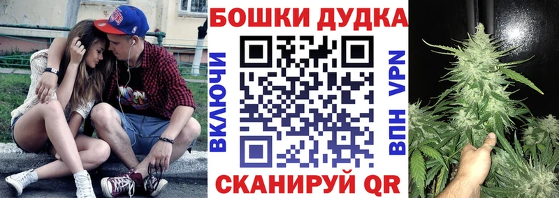 Бошки Шишки семена  Удачный 